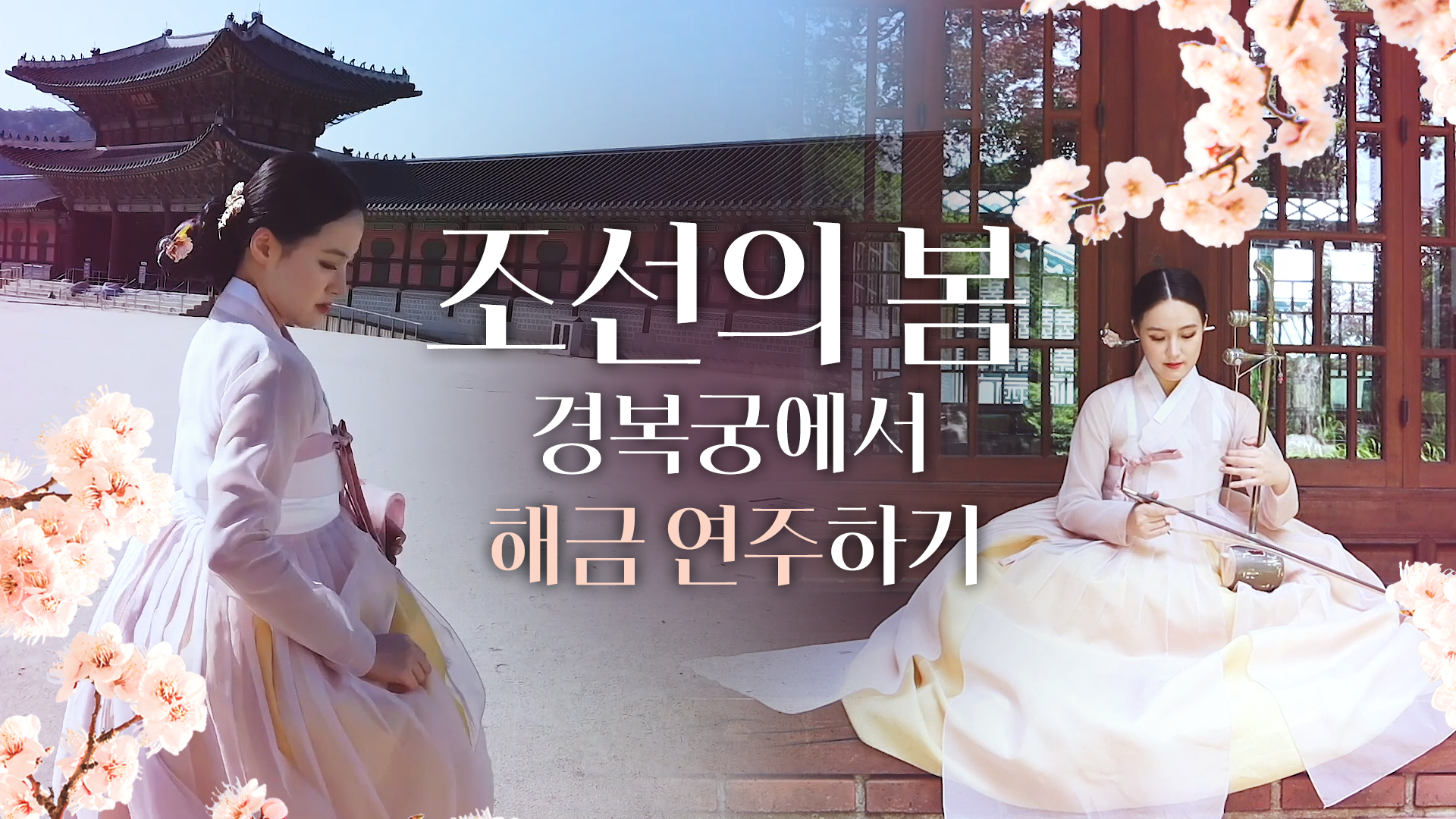 [KOREAN POP] 2020년, 궁에서 만나는 환상적인 해금 연주, 이것이 진정한 조선의 ‘ASMR’ㅣ이다해금