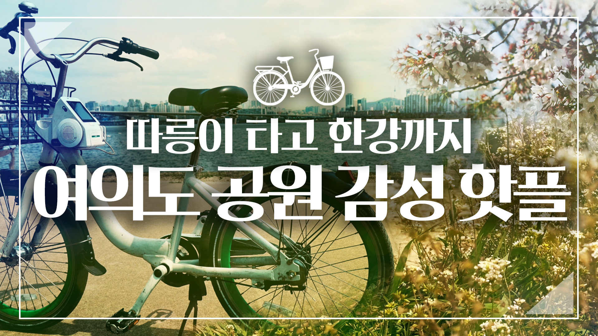 나만 알고 싶은 한강 한적한 공원 / 따릉이와 봄나들이 / 벚꽃 구경 [서울영상크리에이터]