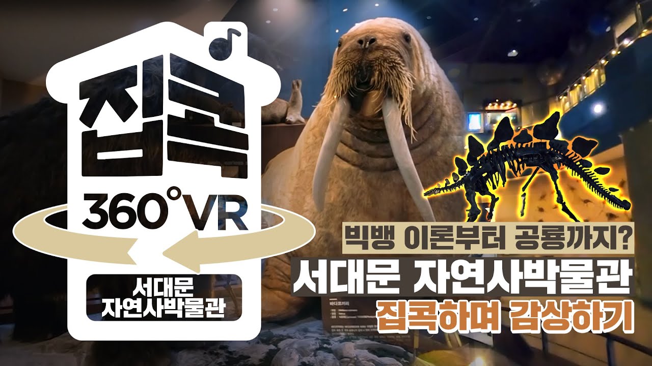 [서울집콕 360VR]ㅣ살아있는 듯한 공룡을 VR로 즐겨보자!ㅣ서대문 자연사박물관