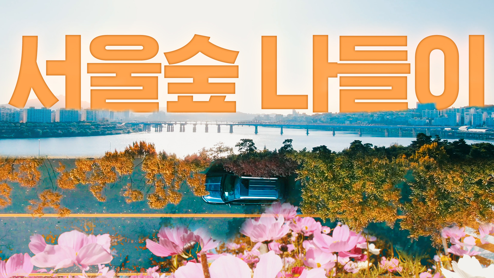 서울숲 나들이ㅣSeoul Forest l서울영상크리에이터