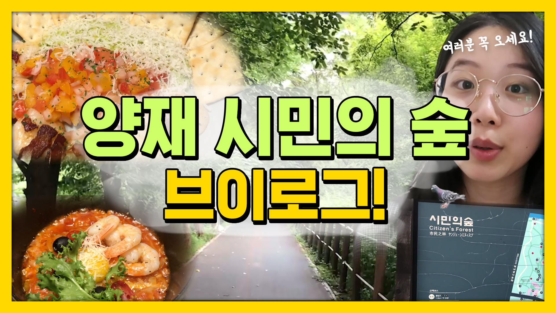 사회적 거리두기가 가능한 서울의 핫 플레이스, 양재 시민의숲 [서울영상크리에이터]