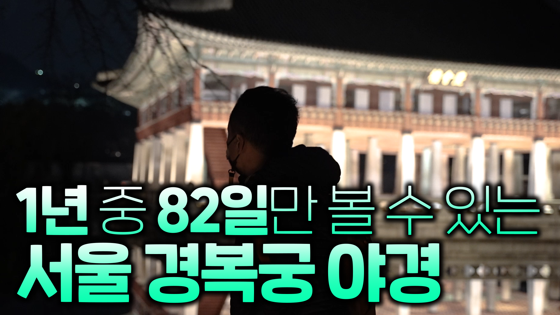 1년 중 82일만 볼 수 있는 서울 경복궁 야경 [서울영상크리에이터]