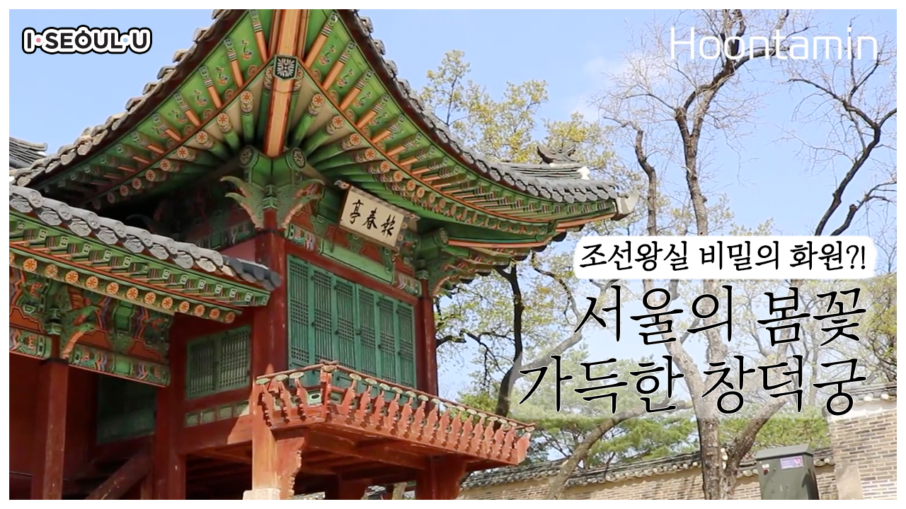 서울 봄꽃 가득 담은 세계문화유산 창덕궁 & 후원 ㅣ 서울 영상 크리에이터