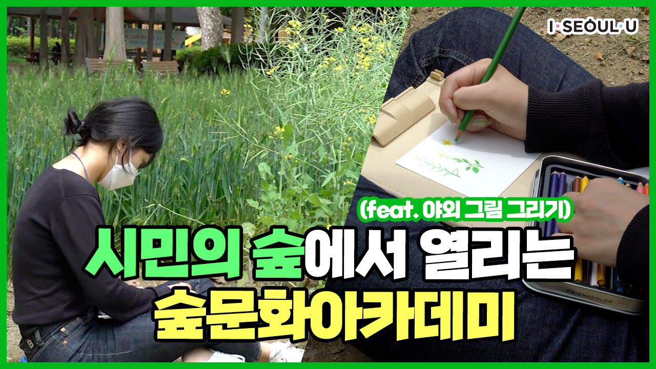 숲에서 숲 그리면서 힐링하기! 시민의 숲에서 즐기는 숲문화아카데미 ㅣ 서울 영상 크리에이터