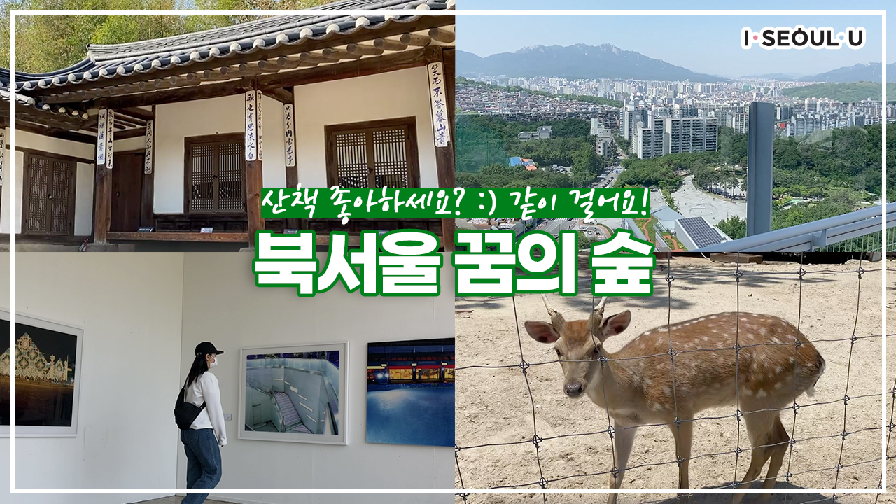산책 좋아하세요? 도시락싸서 같이 랜선 산책가요! Feat.북서울꿈의숲ㅣ 서울 영상 크리에이터