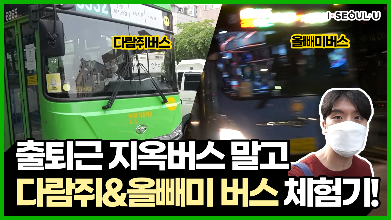 서울시에 출퇴근용 버스가 따로 있다?! 출퇴근길 지옥버스 X 다람쥐버스 & 올빼미버스 ㅣ 서울 영상 크리에이터