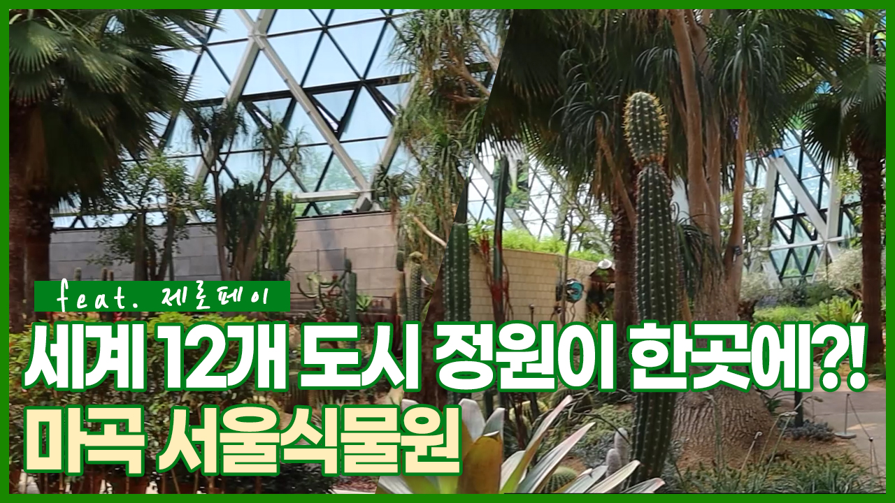 도심에서 식물 힐링하기, 멀리가지 말고 서울에서 다양한 테마 정원 산책하고 힐링ㅣ 서울 영상 크리에이터