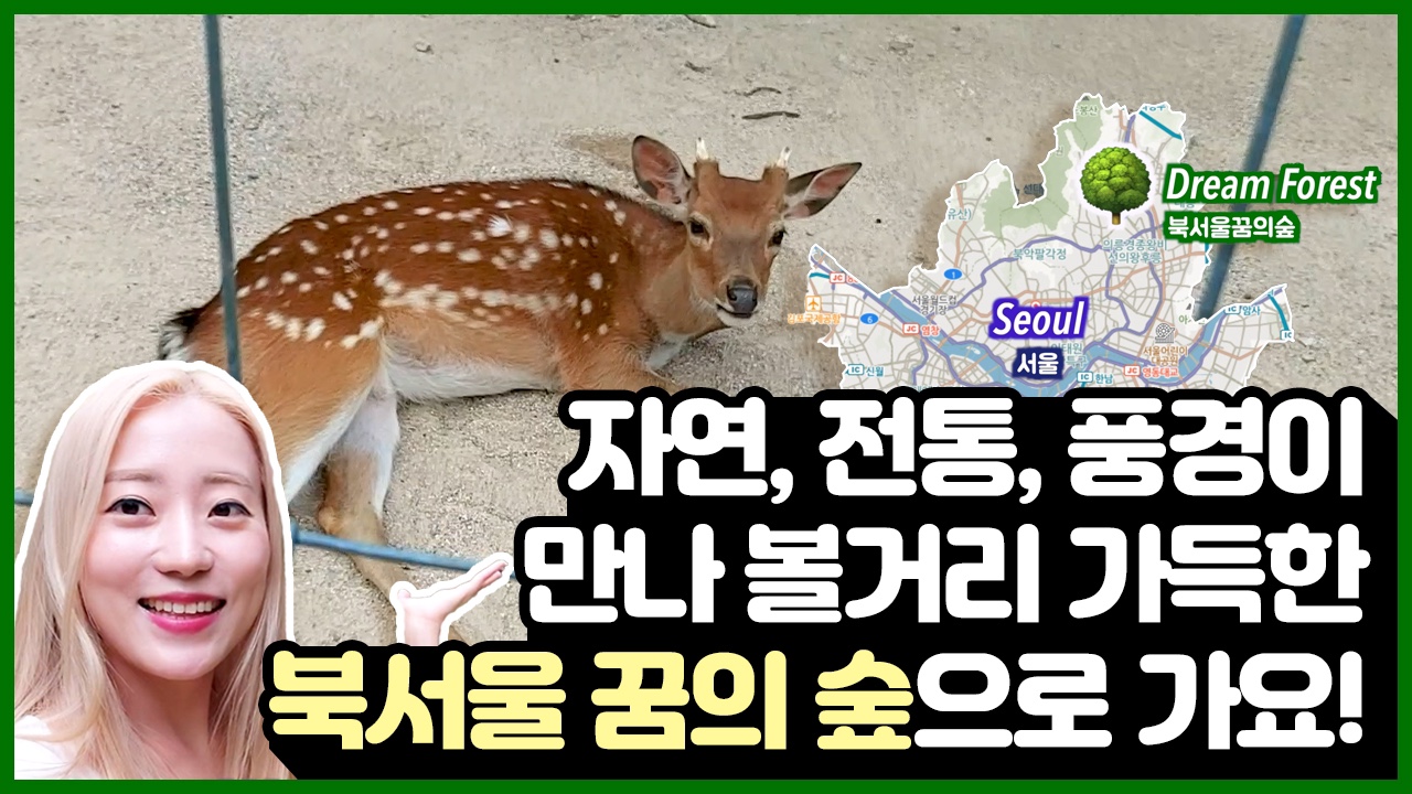 여름 서울 나들이는 여기로, 자연, 전통, 풍경이 하나되는 북서울꿈의숲 ㅣ 서울 영상 크리에이터