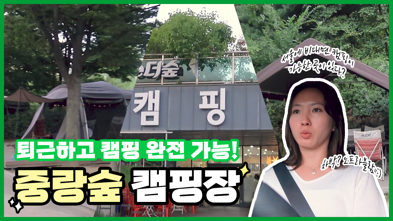 퇴근하고 캠핑하러 가도 늦지 않아!  중랑숲 캠핑장ㅣ 서울 영상 크리에이터