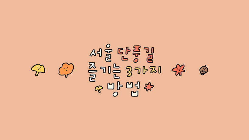 서울 단풍길에서 단풍놀이를 즐기는 3가지 방법ㅣ서울영상크리에이터