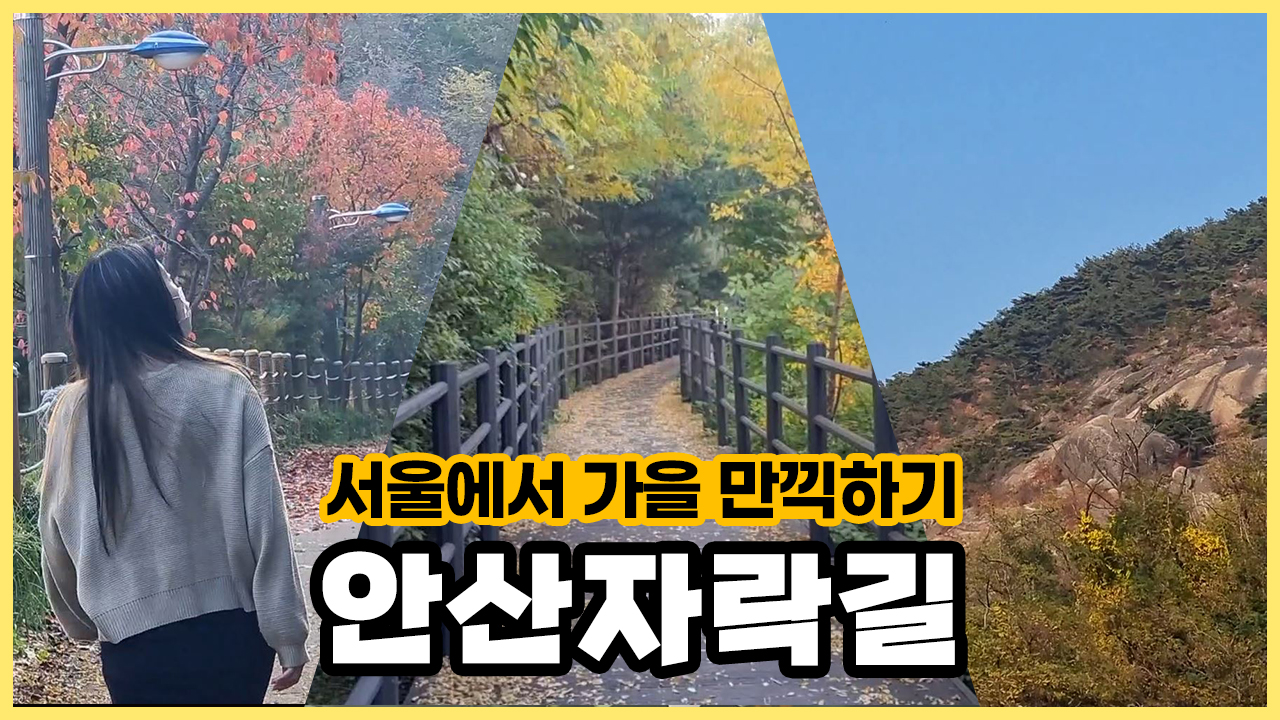 서울의 가을을 만끽할 수 있는 안산자락길ㅣ서울 영상 크리에이터
