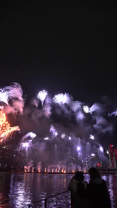 서울세계불꽃축제 2023 쇼츠 - 한국