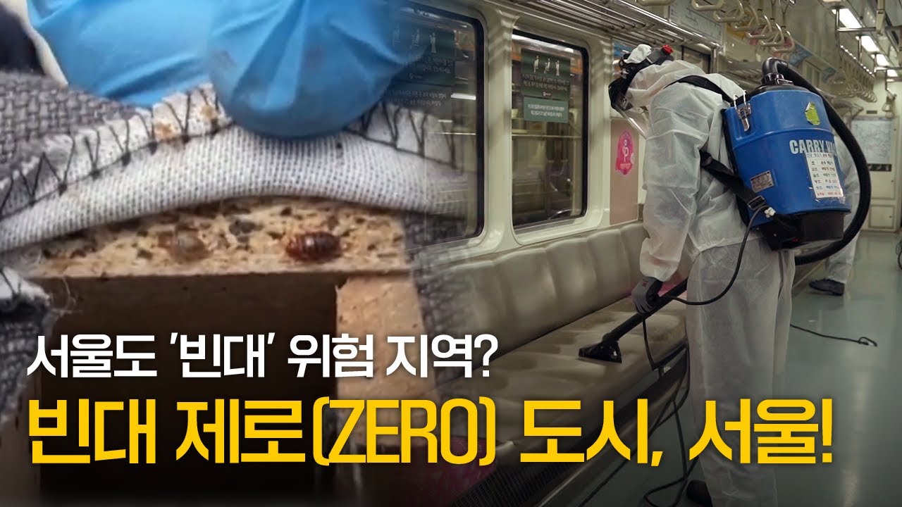 빈대 제로 도시 서울 프로젝트 시행