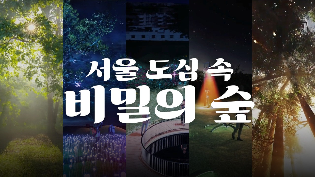 송현동 솔빛축제