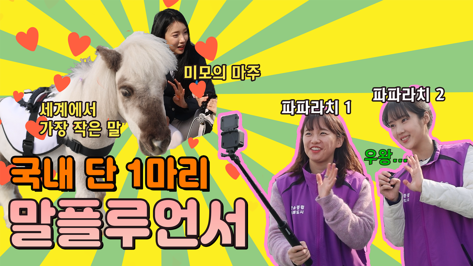 작은말 월리