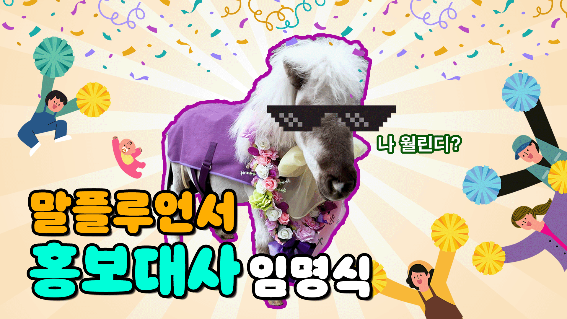 작은 말 월리, 동대문구 명예 홍보대사 되다