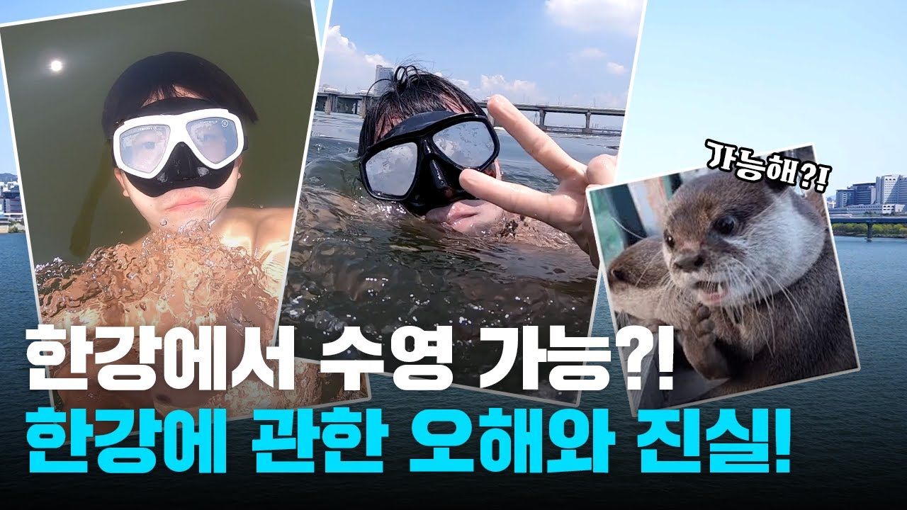 한강 수영 모습