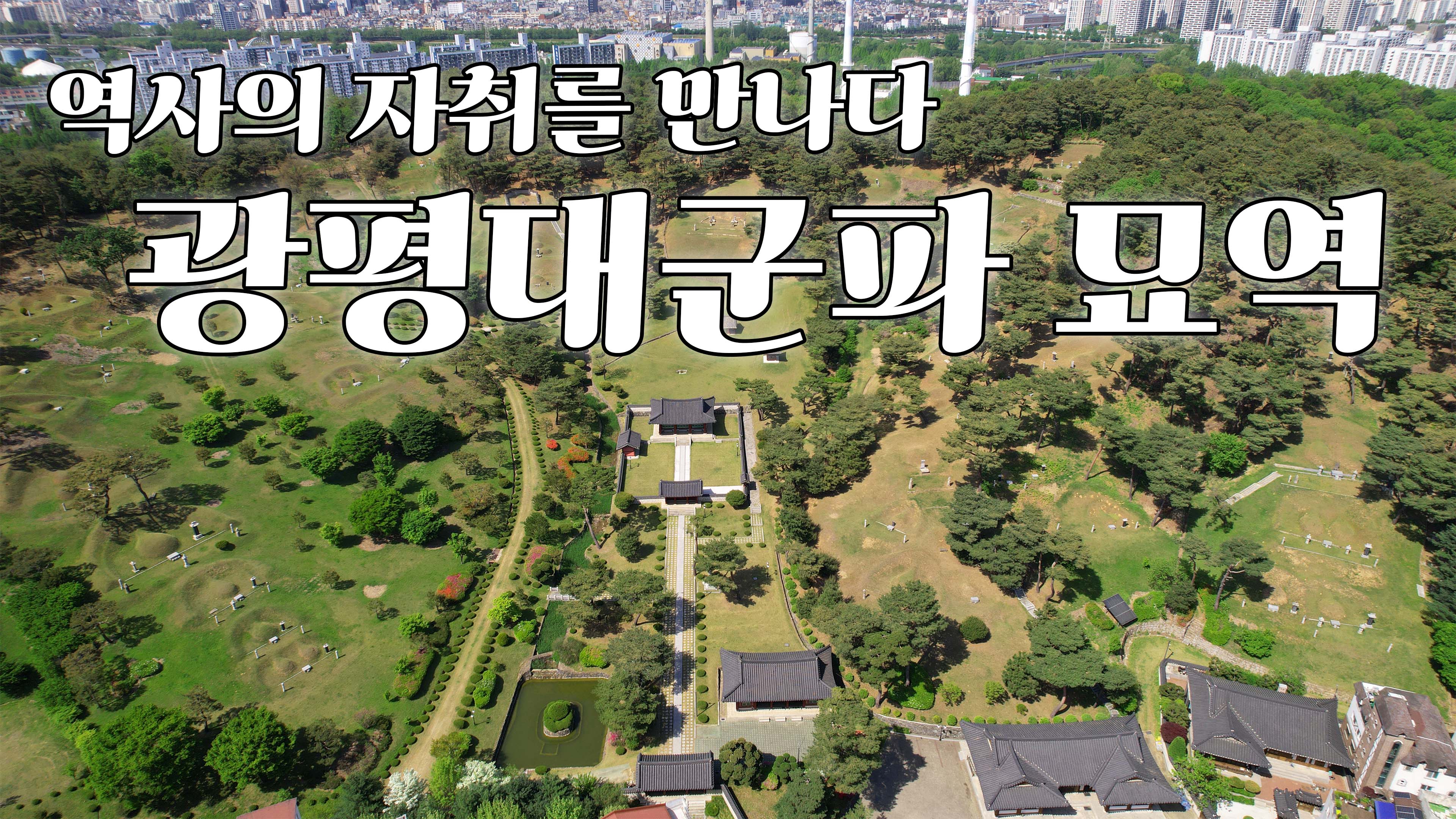웰컴투강남구