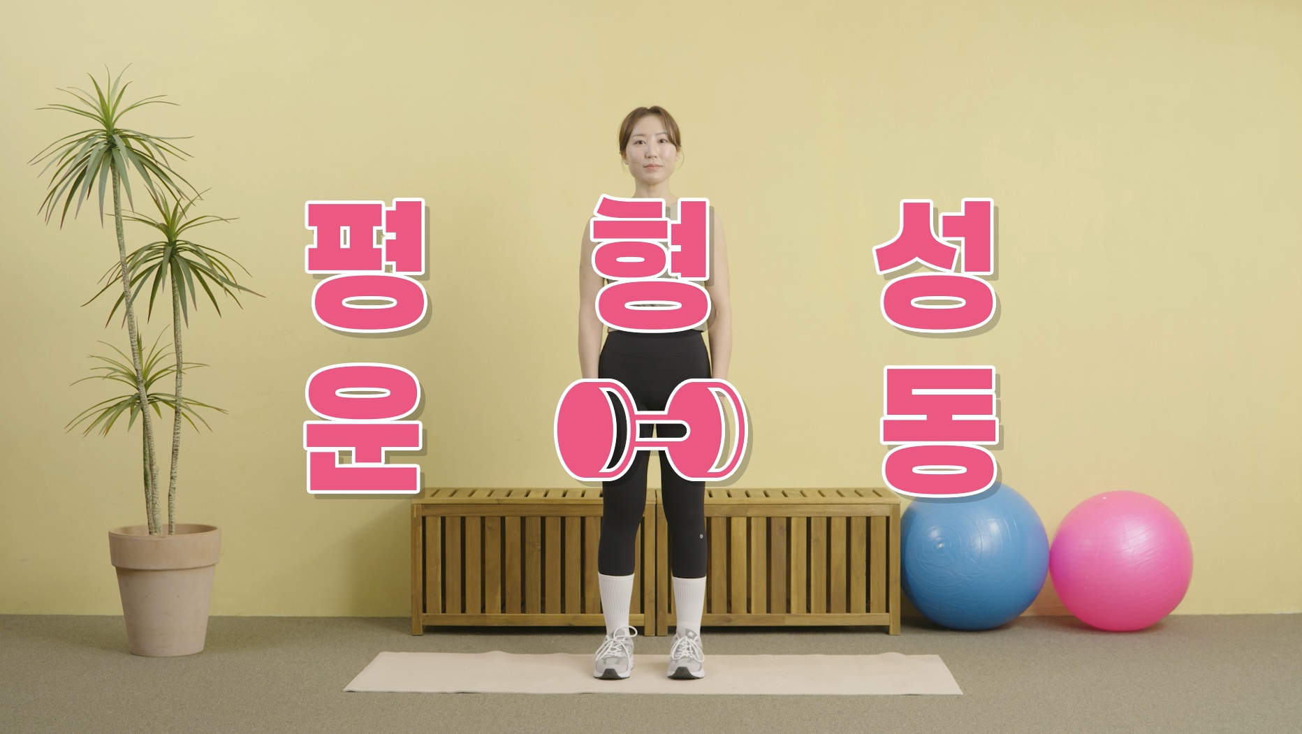 평형성 향상 운동