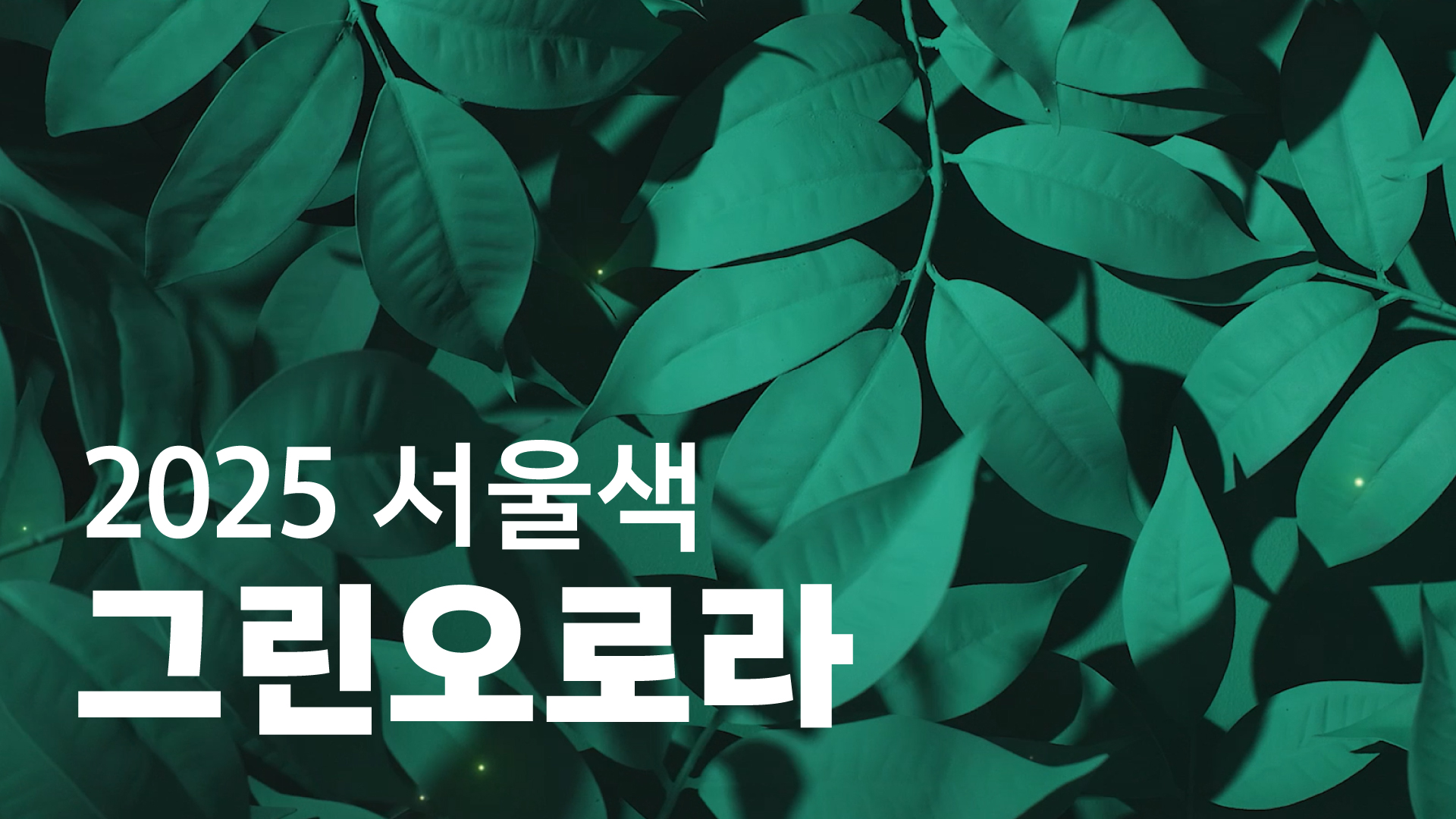 2025 서울색,  '그린오로라(Green Aurora)' 