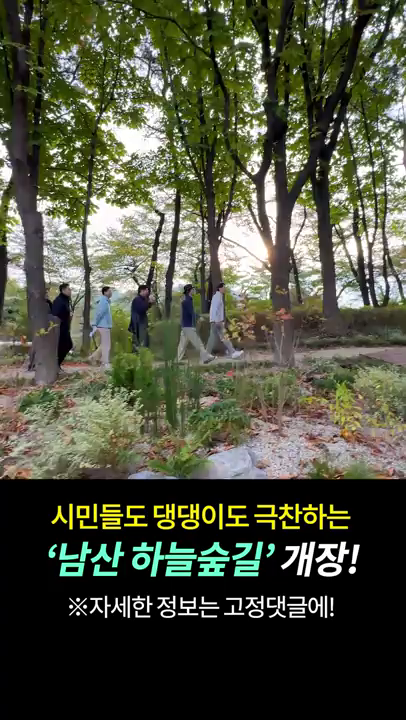 전지적비서시점 - 남산 하늘숲길 강아지 산책