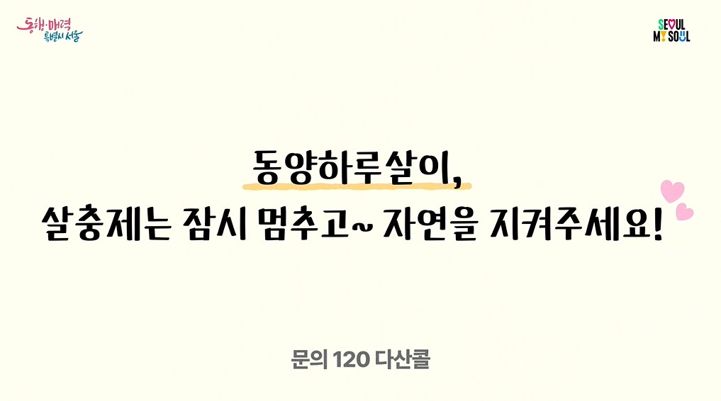 동양하루살이, 살충제는 잠시 멈추고~ 자연을 지켜주세요!