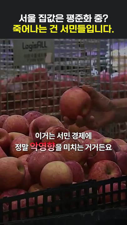 쇼츠_시사저널TV 출연_집값 평준화 관련