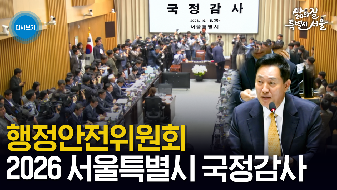 2026년 서울특별시 국정감사 국회 행정안전위원회